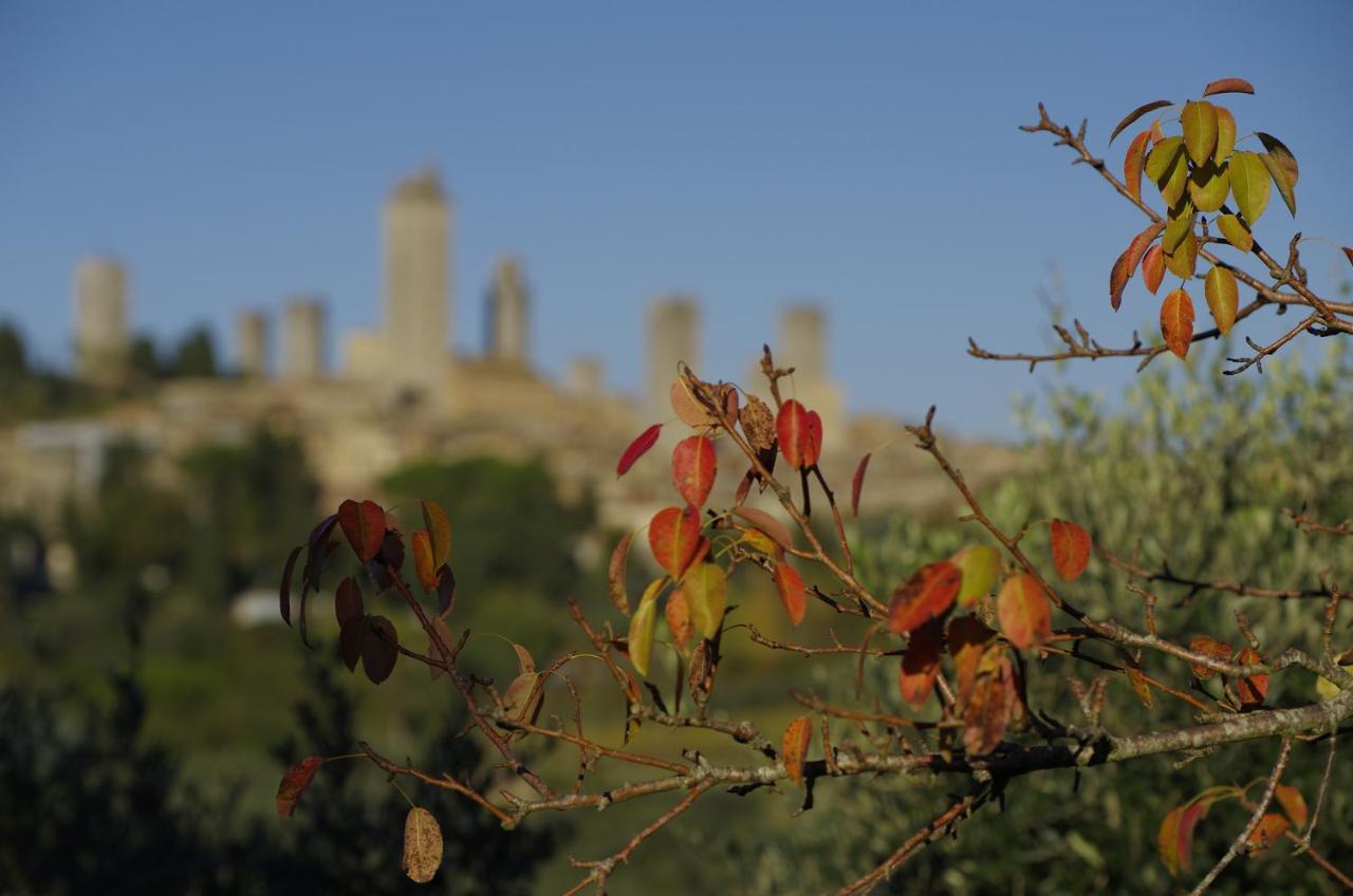 Appartamenti Panoramici Piazza delle Erbe San Gimignano Camera foto